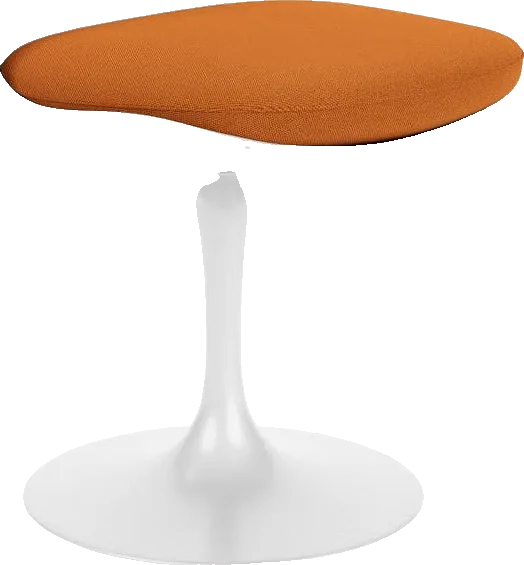Cadeira Saarinen Tulipa — Eero Saarinen, foto 1 de 5