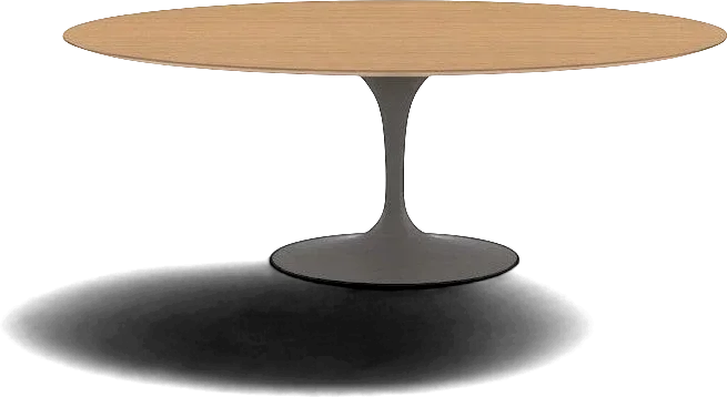 Mesa de Jantar Oval Saarinen — Eero Saarinen, foto 3 de 3